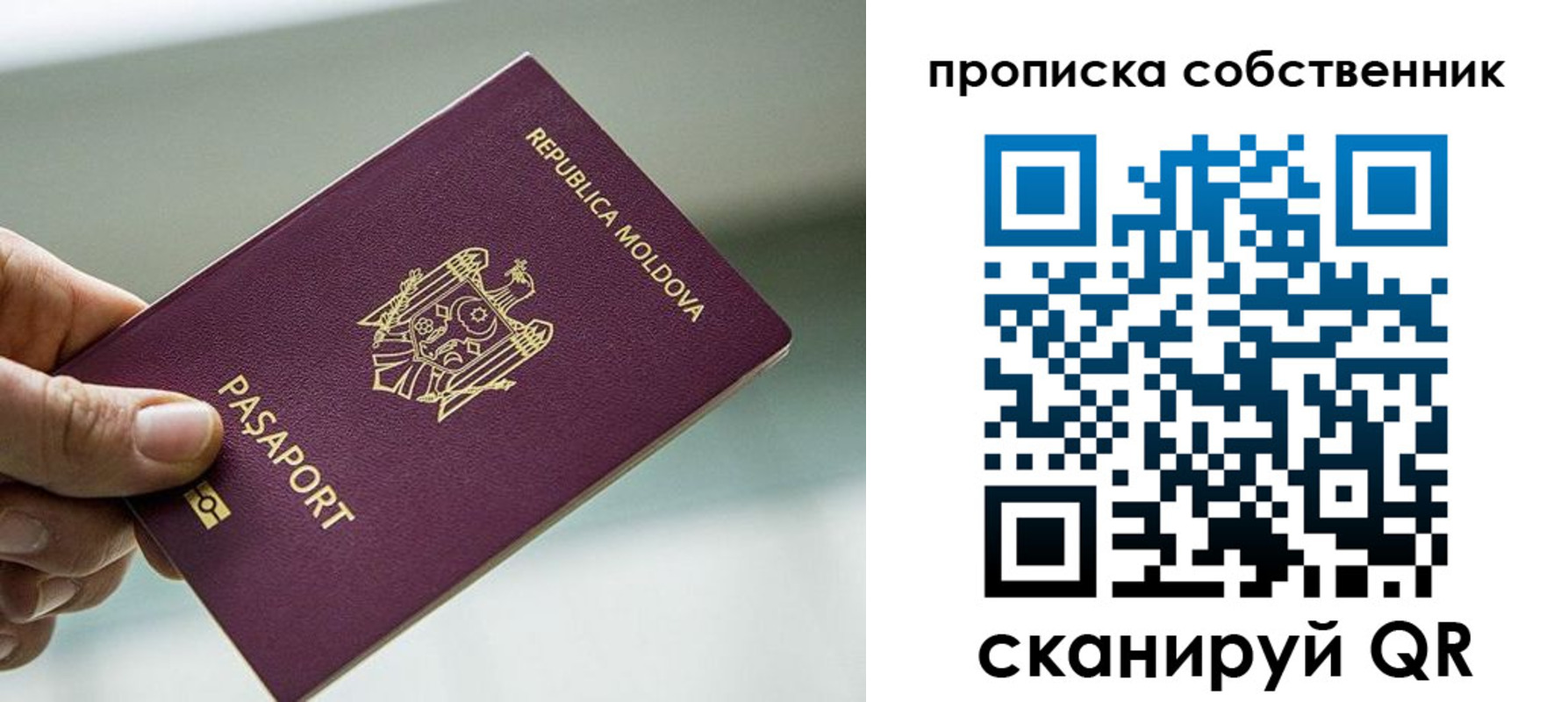 прописка паспорт в Лыткарино